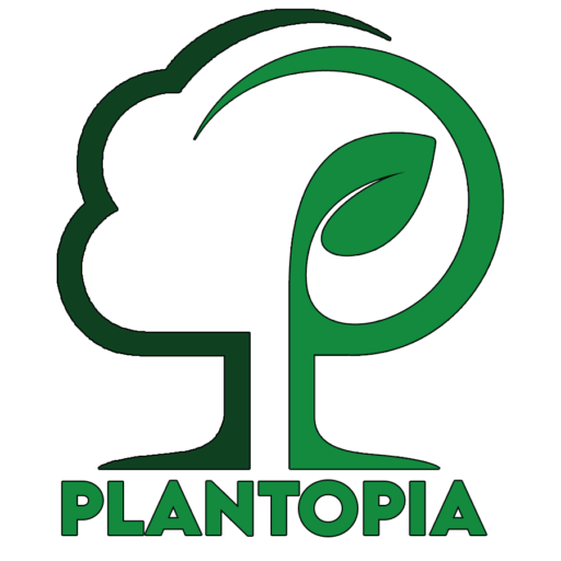 Plantopia Nursery & Landscape-Nursery and Landscape company in the Harbor Heights community in Punta Gorda, Florida. 